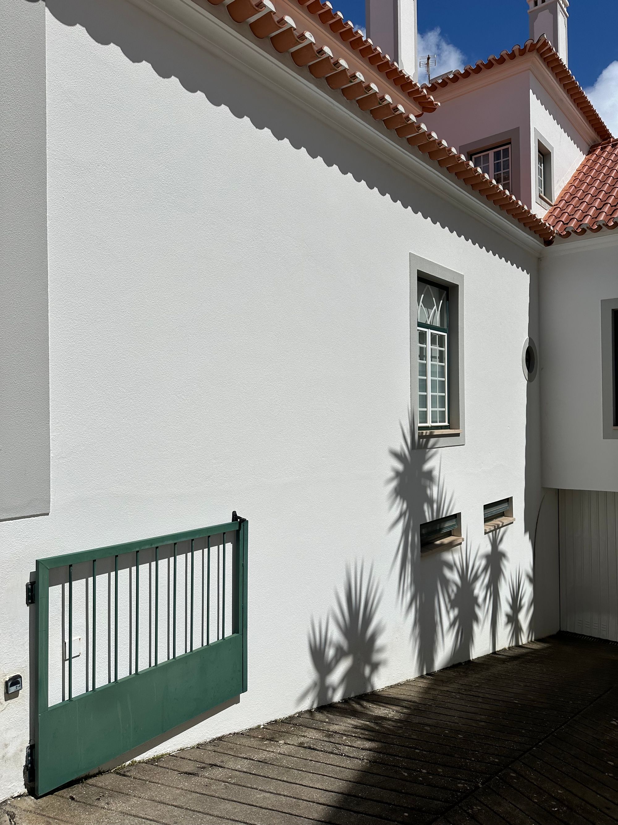 Sunlit white coastal architecture crossed by palm shadows