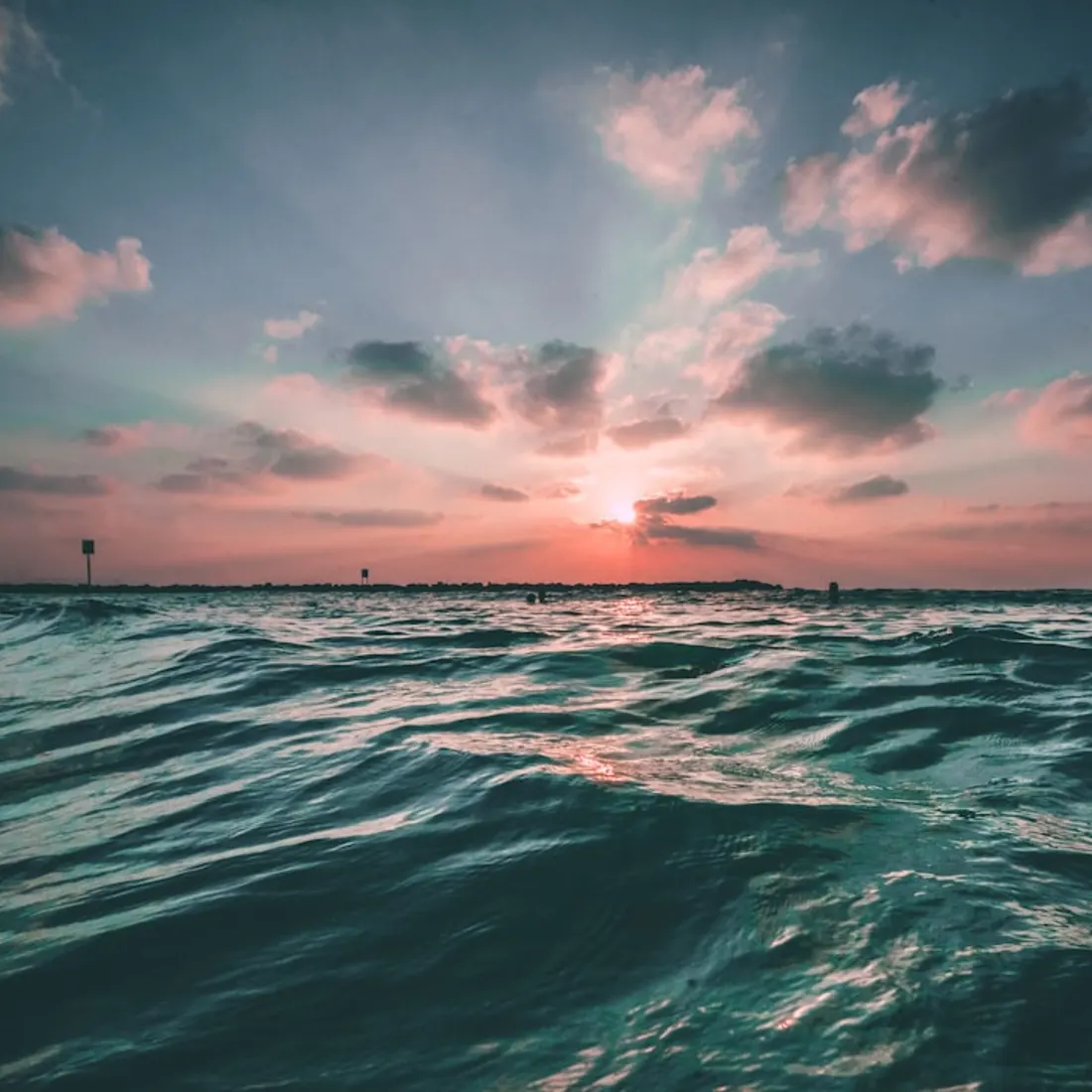 Wrack Line — Outer Banks, NC