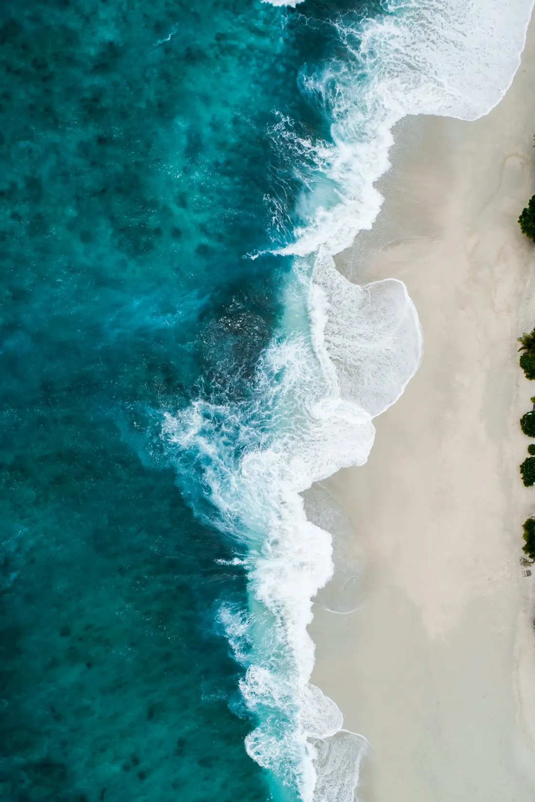 Swell — Montauk, NY