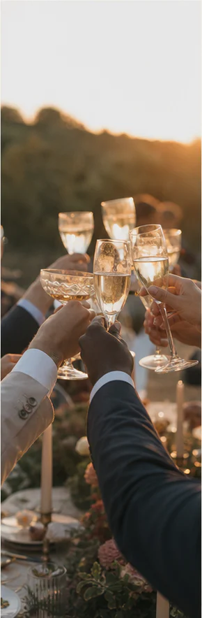 Illustrative guests raising glasses at golden hour