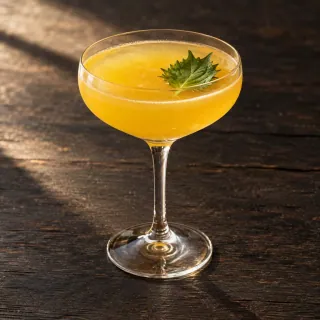 A golden mango, white rum, shiso and lime daiquiri in an elegant plain coupe glass with a tiny green shiso leaf. No creamy texture