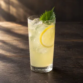 A pale-yellow salted-lemon, jasmine and shiso lemonade in a plain tall clear glass with realistic ice, a lemon slice and a fresh green shiso leaf