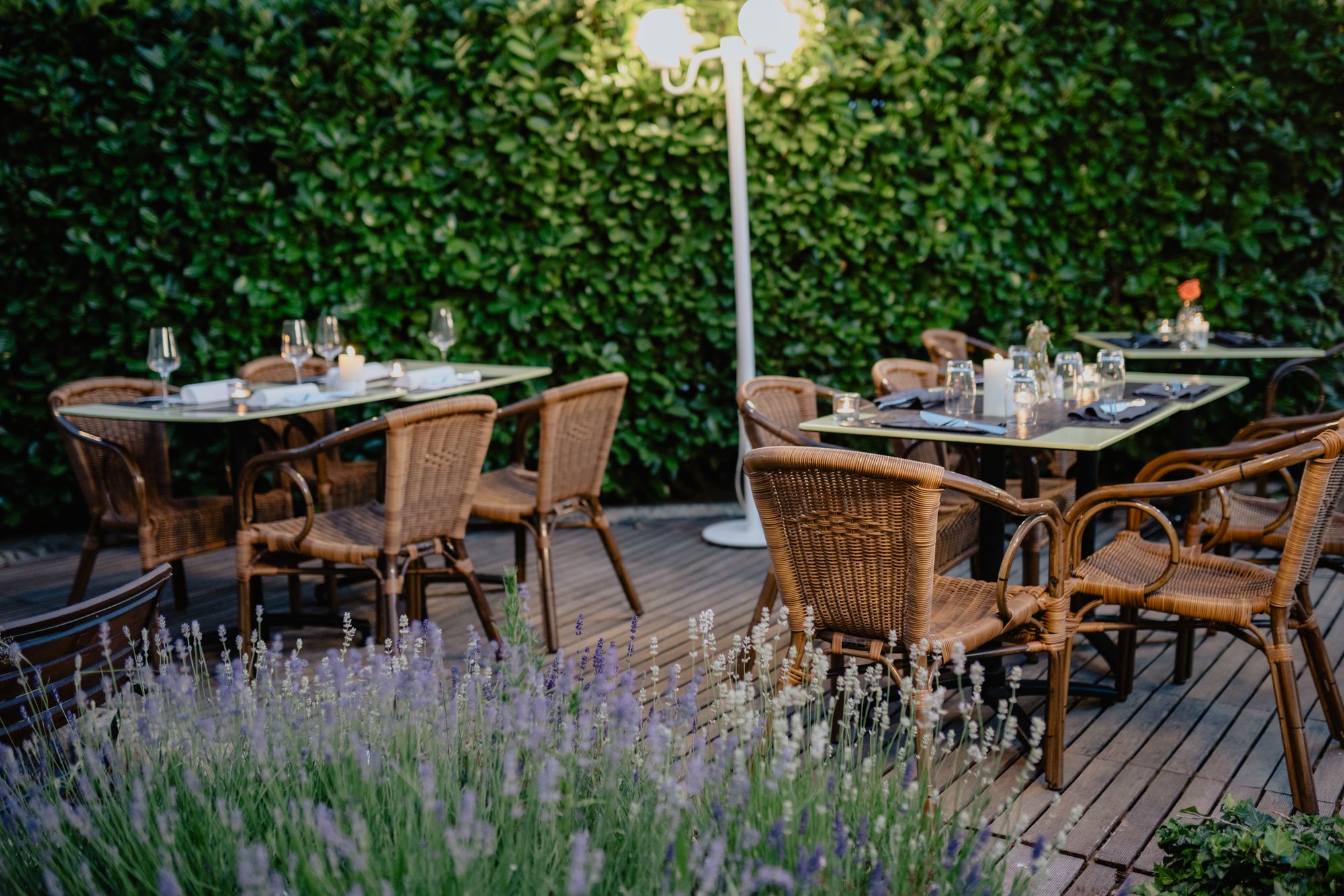 Green open-air restaurant terrace