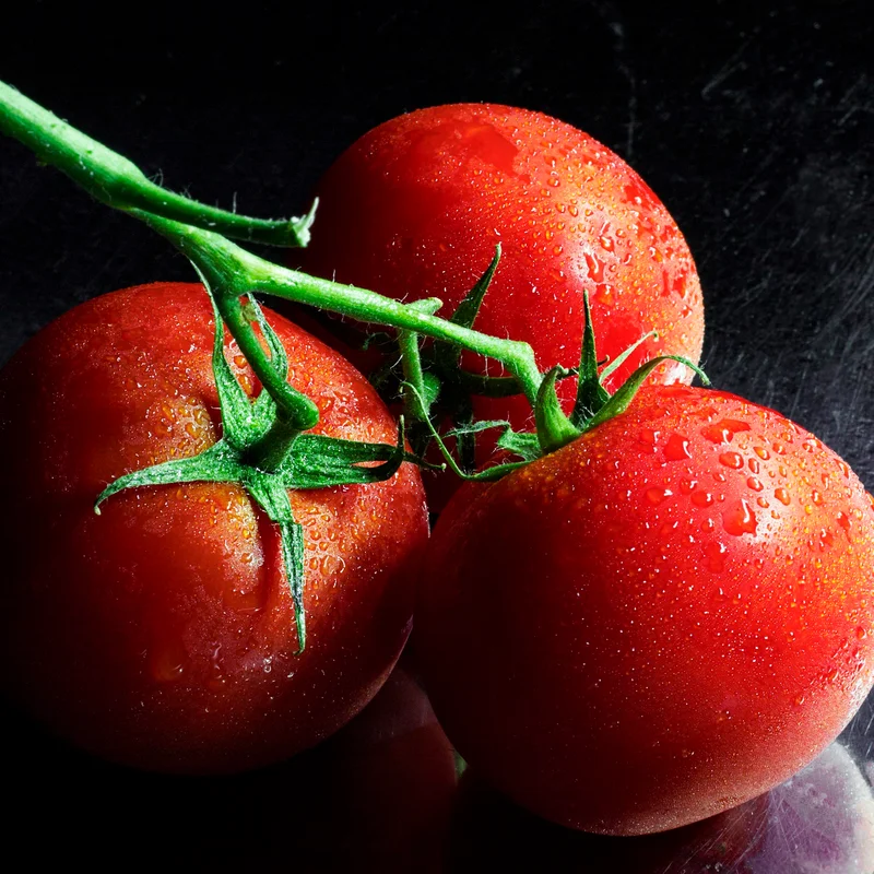 Colorful mix of ripe heirloom garden tomatoes