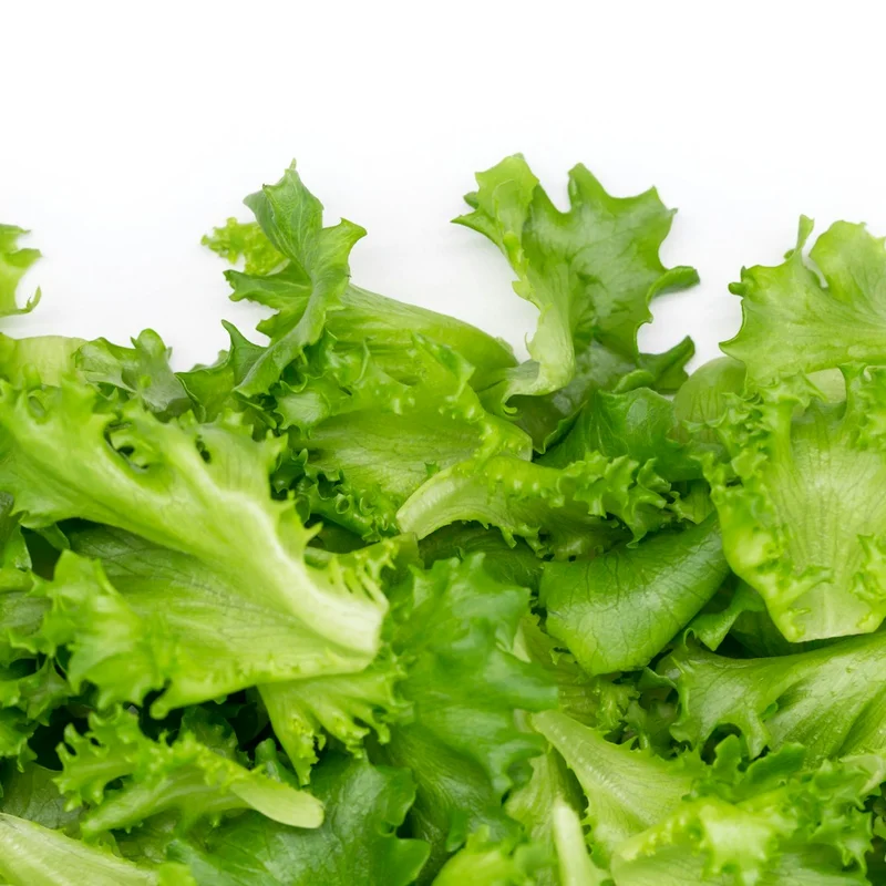Fresh organic baby salad greens and tender leaves