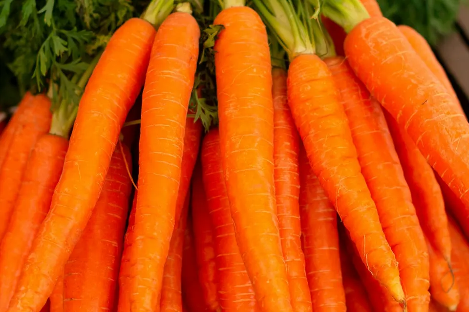 Honey & Thyme Glazed Heritage Carrots
