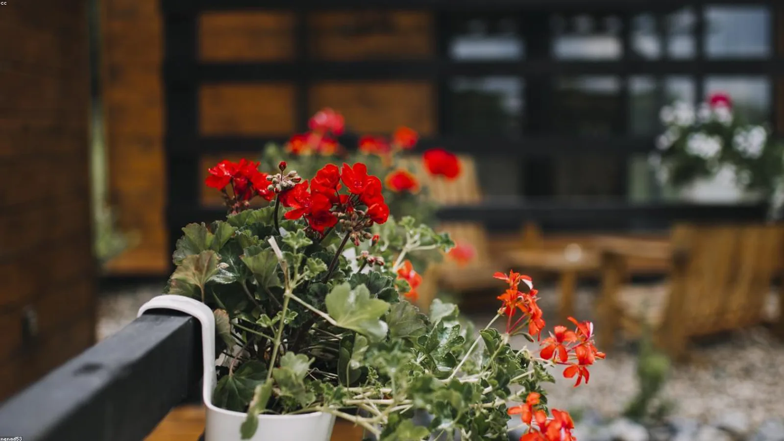 Inside FROND's converted greenhouse nursery in Portland's Sellwood neighborhood