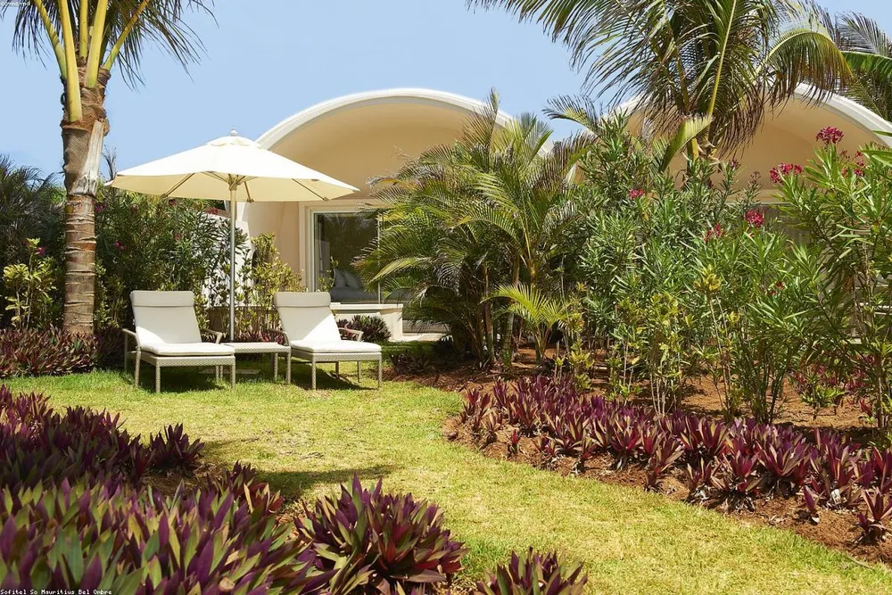 Dune Suite — horizon view