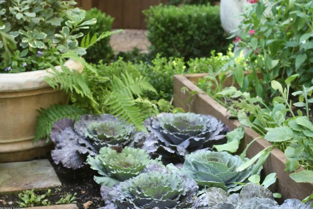 The Kitchen Garden, morning