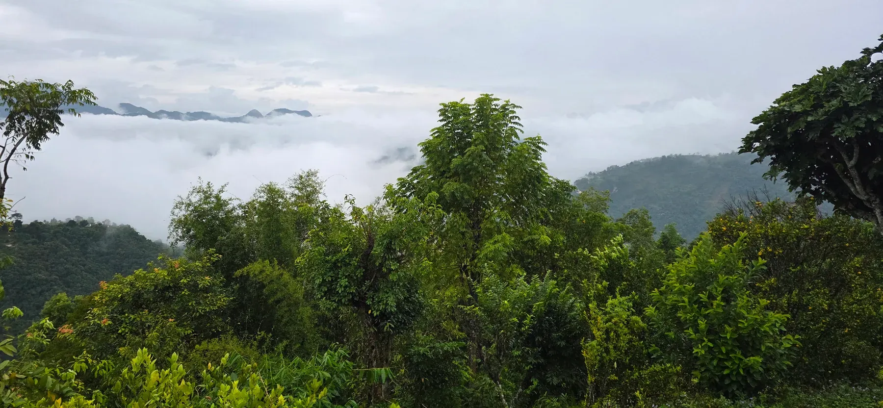 Homestead Organic Homestay — view 33