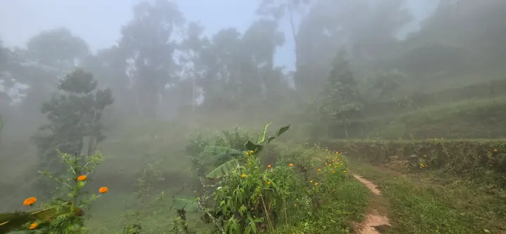 Homestead Organic Homestay — view 15