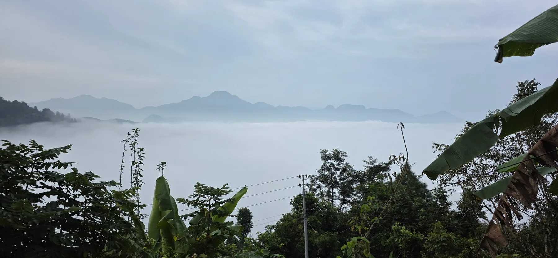 Homestead Organic Homestay — view 18
