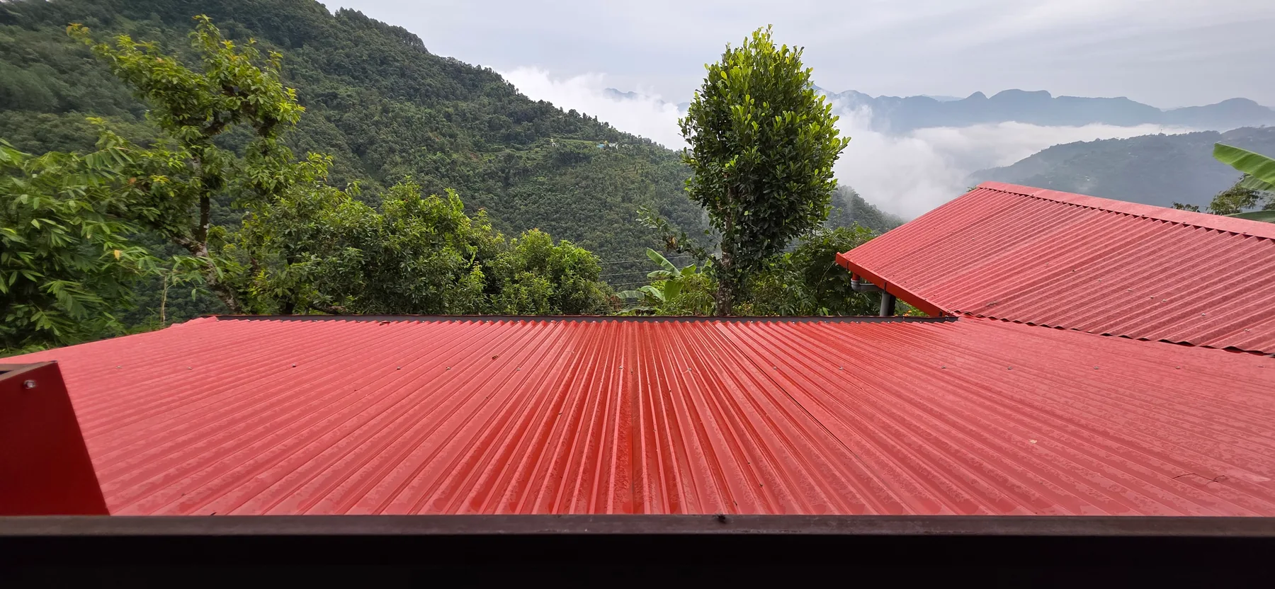 Homestead Organic Homestay — view 22