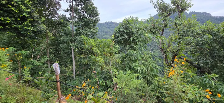 Homestead Organic Homestay — view 25