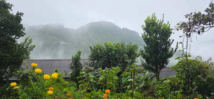 Homestead Organic Homestay — view 32