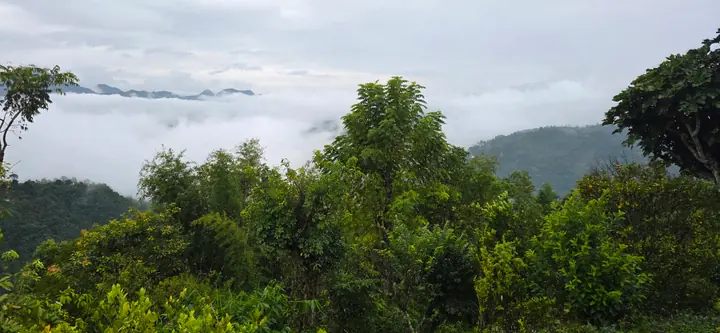 Homestead Organic Homestay — view 33