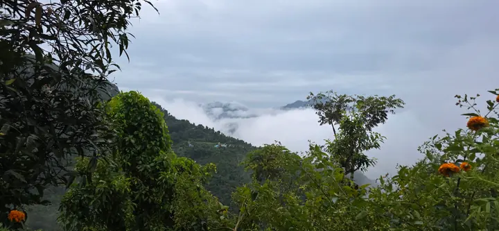 Homestead Organic Homestay — view 34