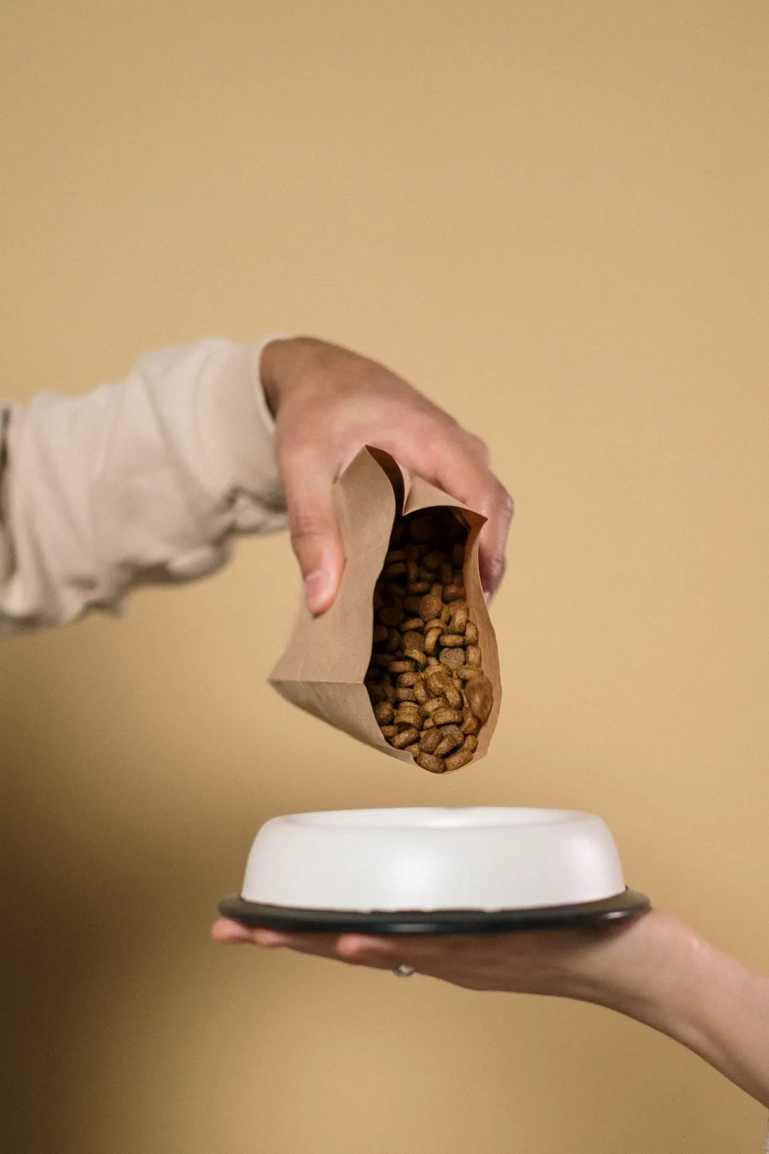 Hand pouring salmon dog food into a bowl