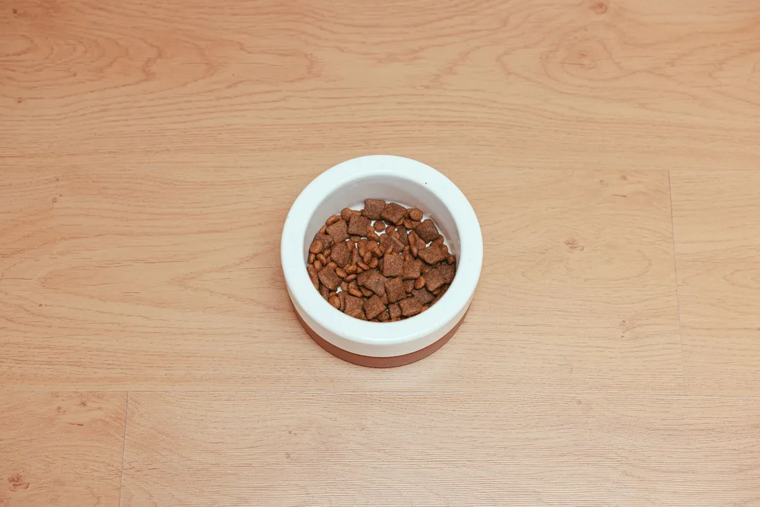 A bowl of chicken kibble on a wooden floor