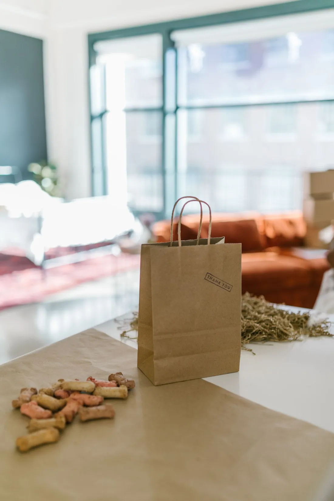A paper bag of dog treats