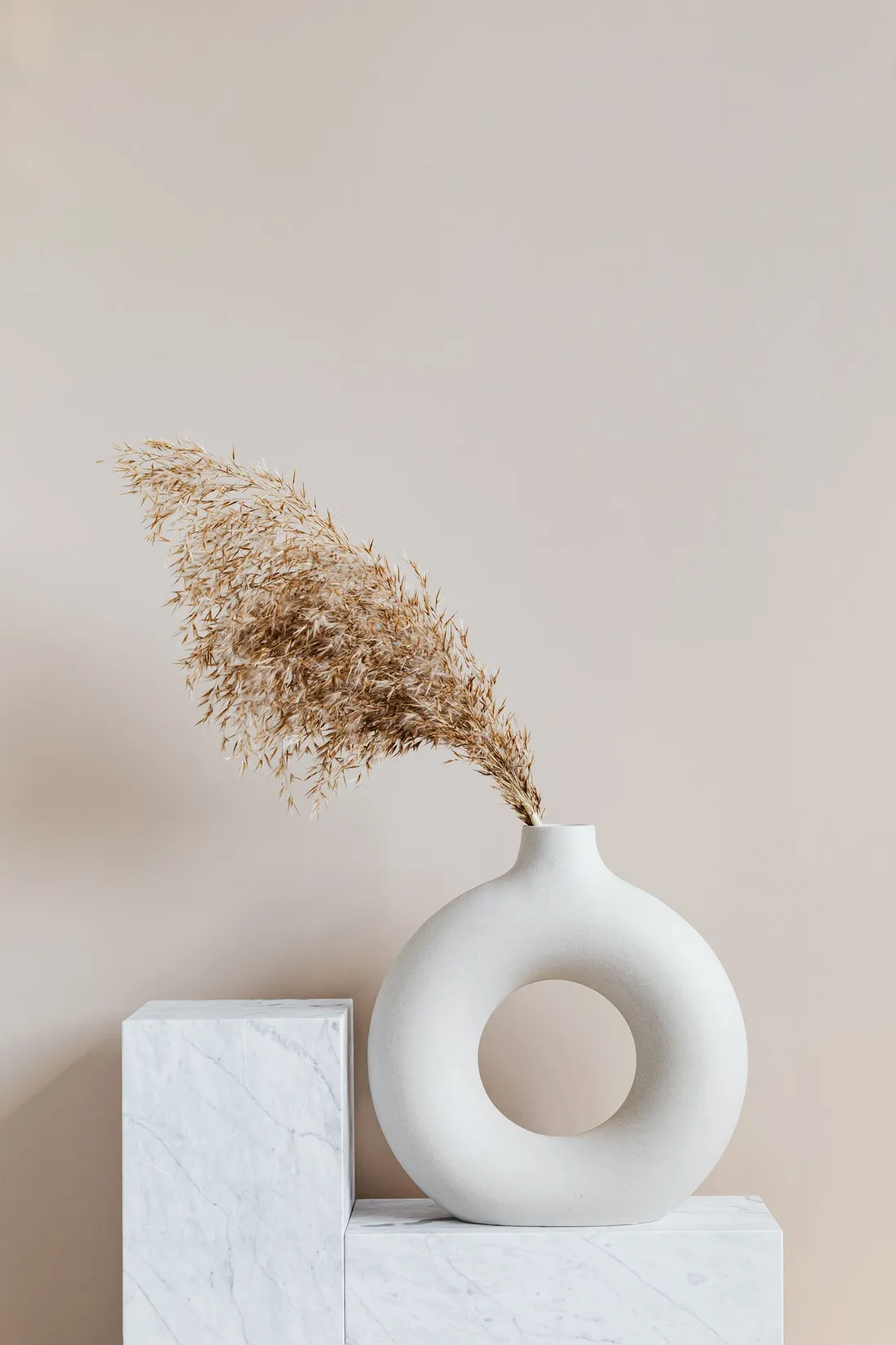 A brown plant in a white ceramic vase