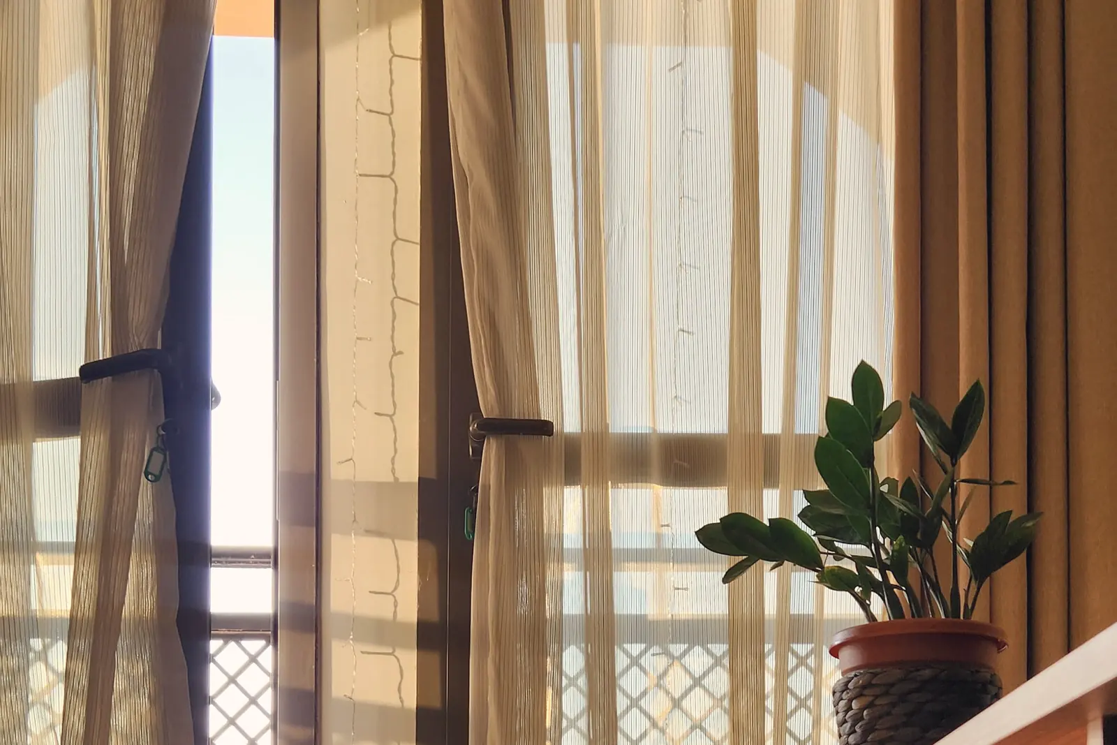 Morning light through tall windows and sheer curtains, a plant in a terracotta pot on the sill
