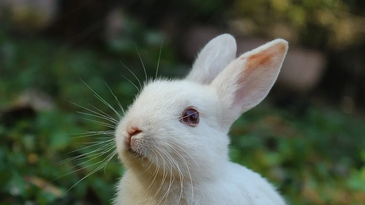 How to Choose the Right Food for Your Pet: Reading Labels Like a Vet — NUZZLE pet health article
