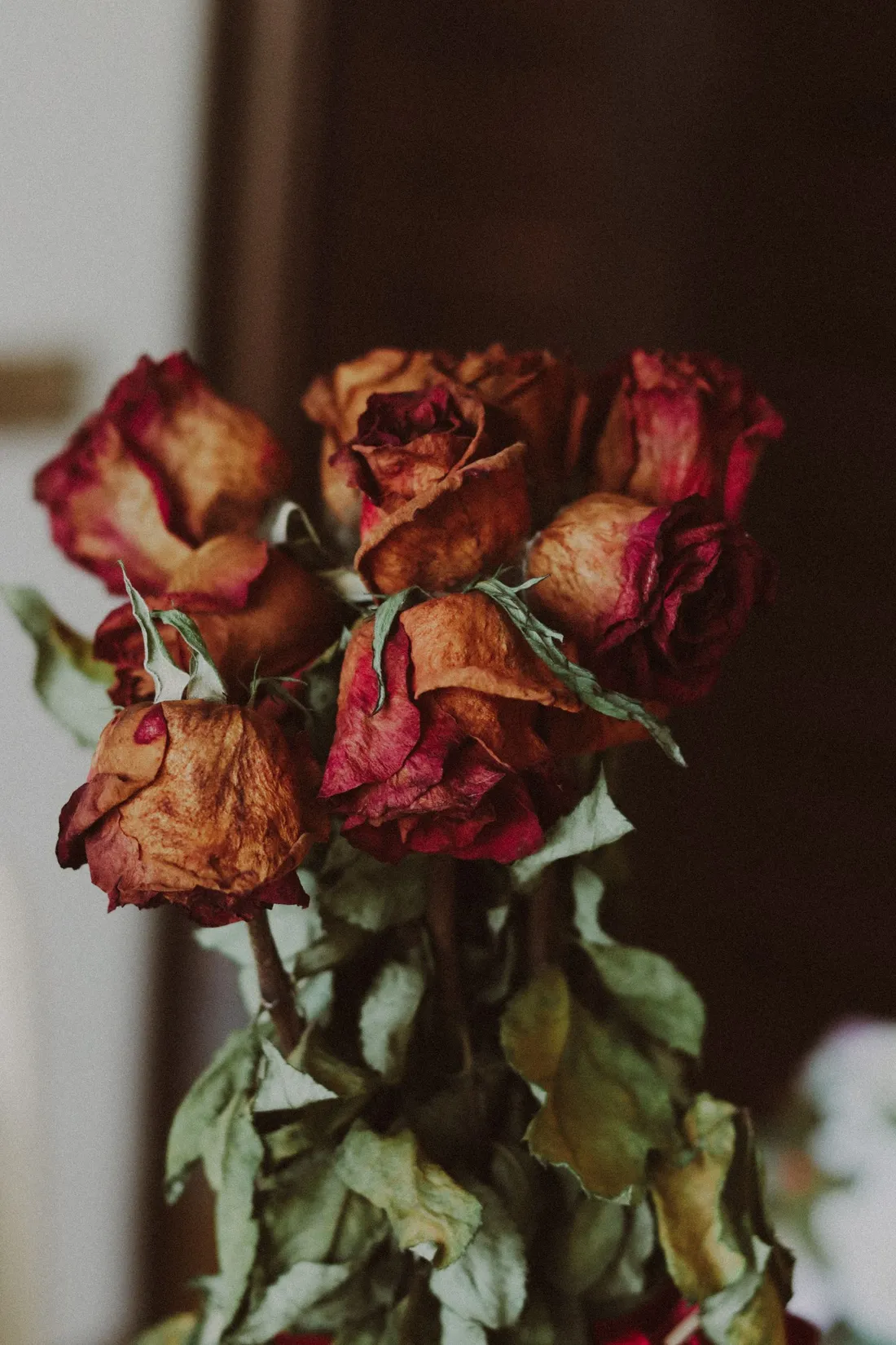 A tight bouquet of deep red roses