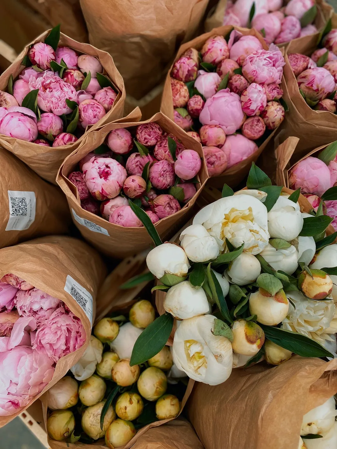 White and pink peony flowers wrapped in brown paper