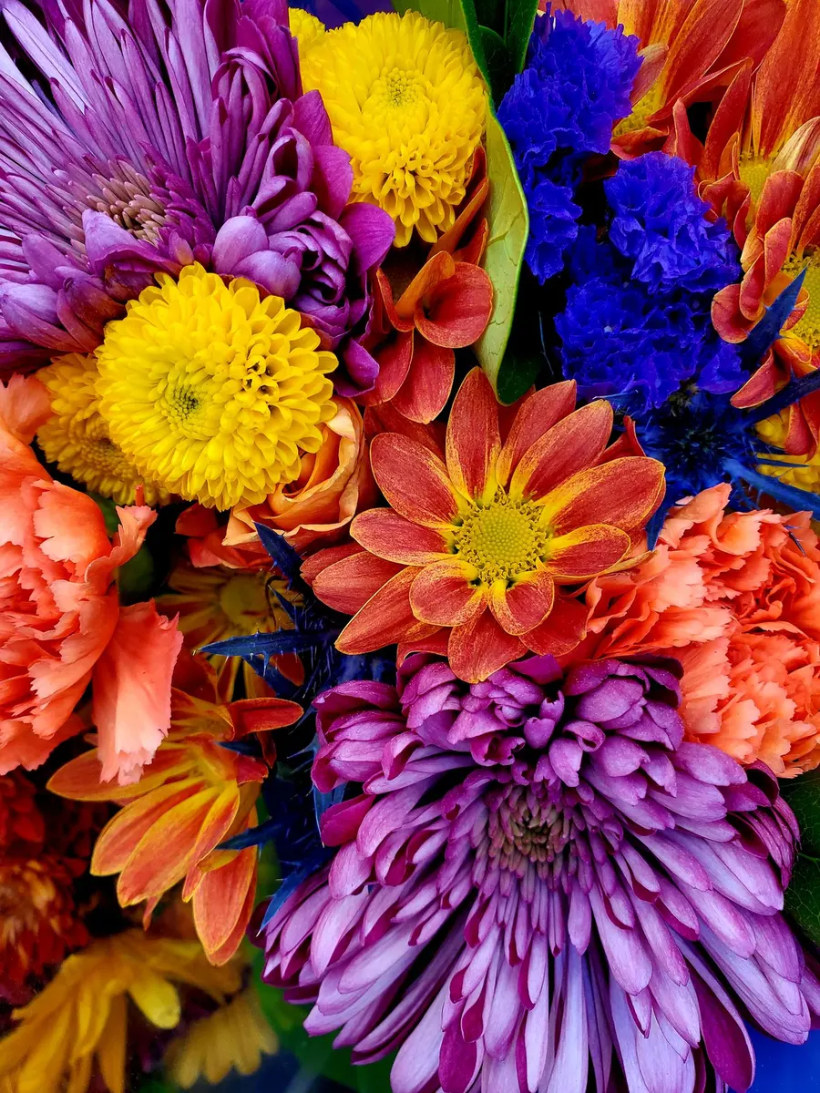 A colourful bouquet of flowers