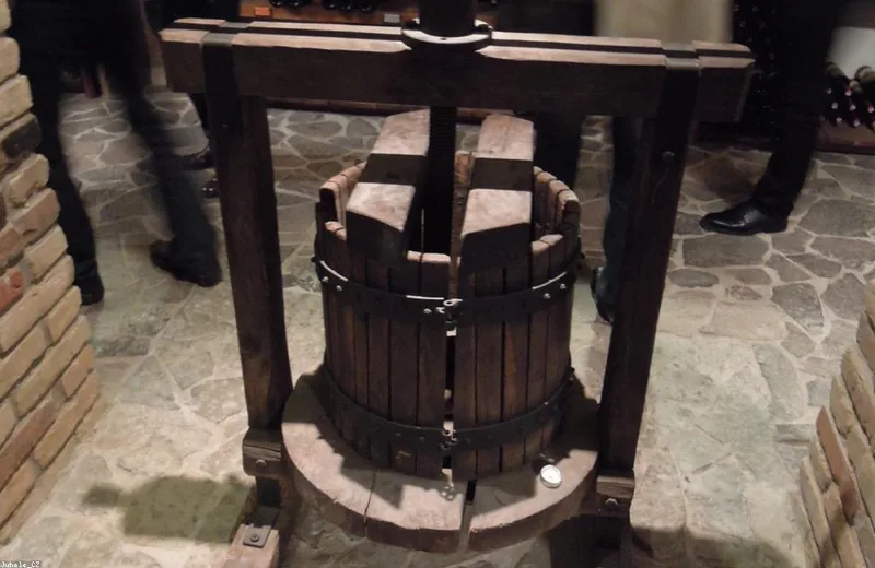 Winemaker inspecting a glass of red wine beside oak barrels