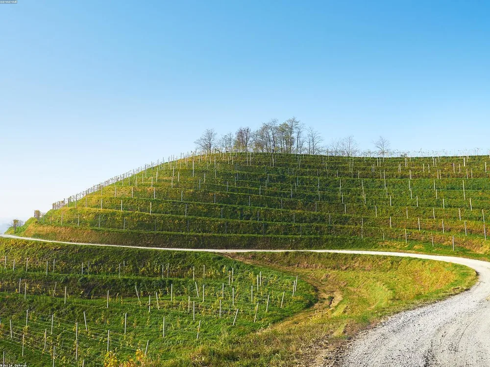 Stone terrace with vineyard views at SOLERA estate tasting area