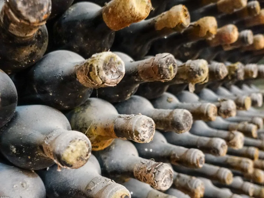 Stone-vaulted wine cellar at SOLERA with bottle racks in candlelit corridor