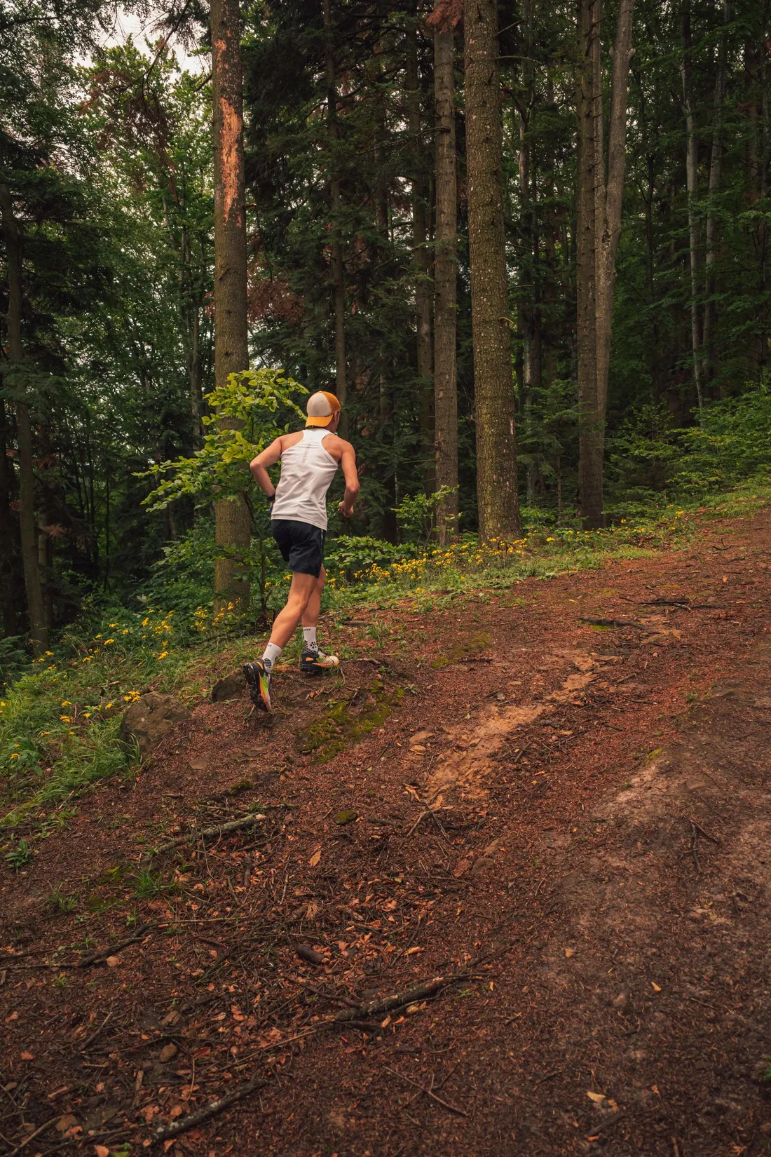 Trail runner moving through a forest path