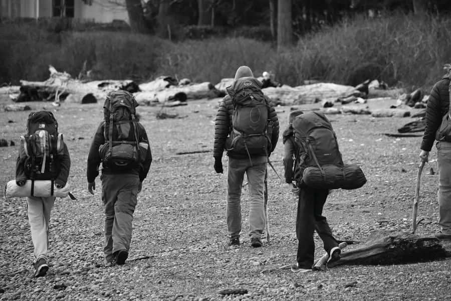 Back view of a group of people hiking with backpacks