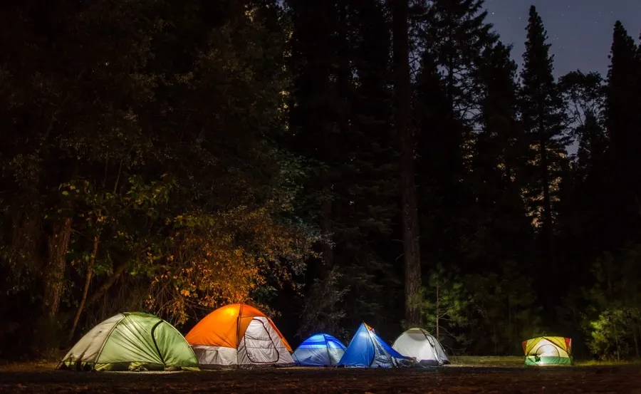 Six camping tents pitched in a forest clearing