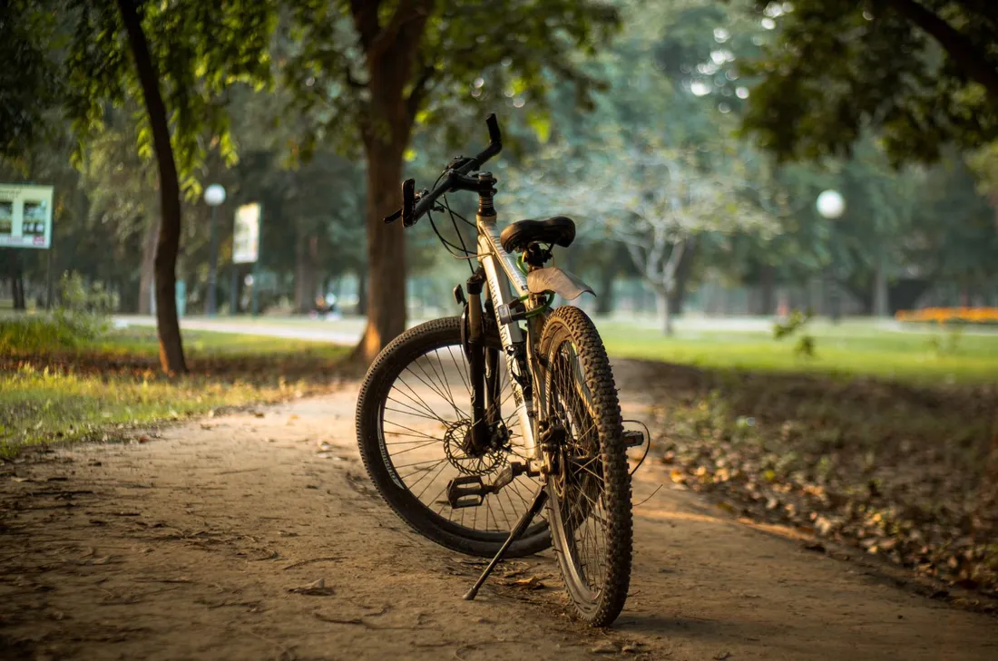 Mountain bike parked on a walkway in the park